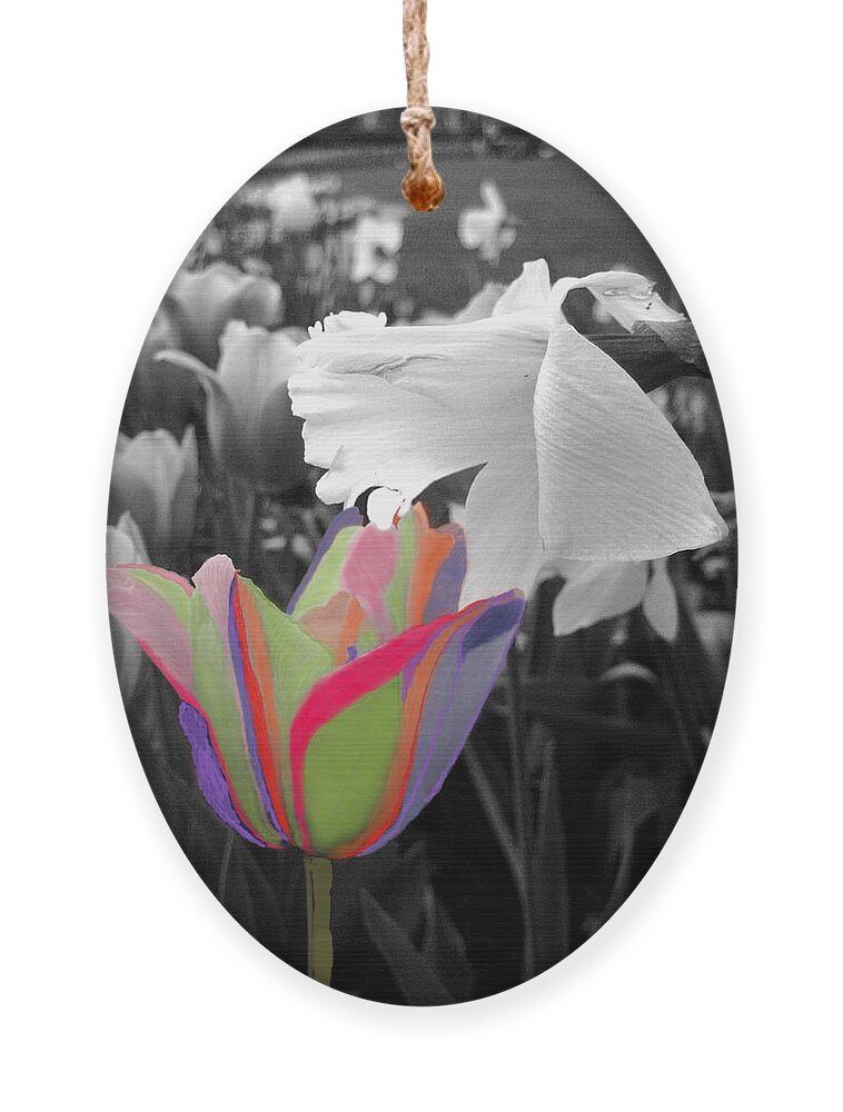 Colorized Tulips Ornament featuring the digital art Quilted-look Tulip And A Daffodil by Pamela Smale Williams