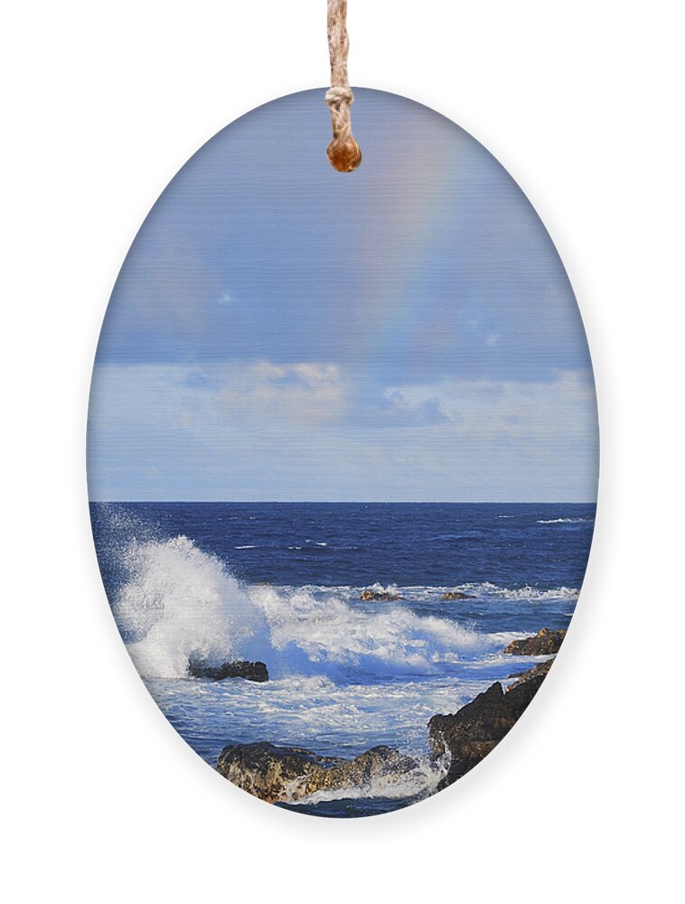 Blue Water Ornament featuring the photograph Rainbow Snippet by Christi Kraft