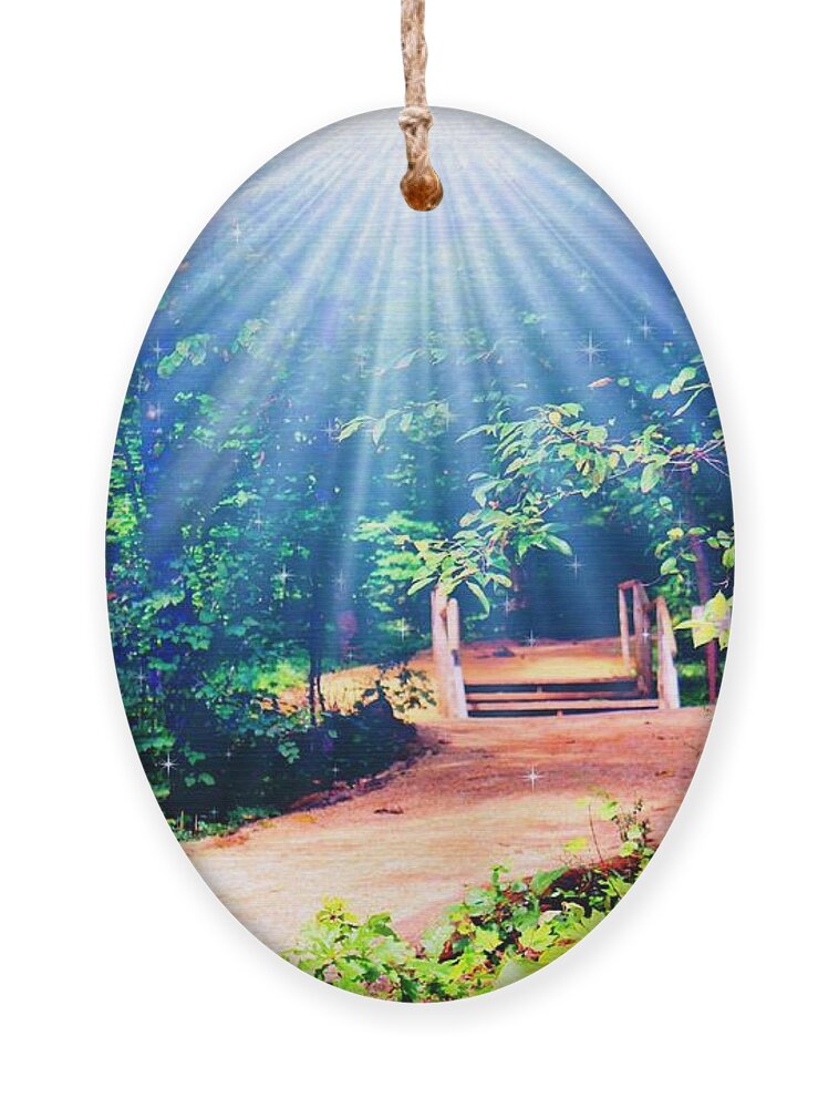 Nature Ornament featuring the photograph Rays Of Light To Guide The Path by Judy Palkimas