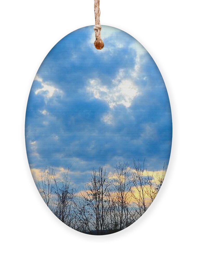 Blue Ornament featuring the photograph Reach Out and Touch the Sky by Linda Bailey