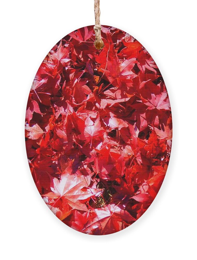 Fall Ornament featuring the photograph Red Carpet by Joseph Desiderio