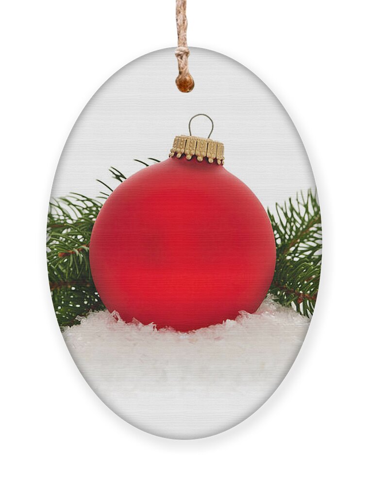 Christmas Ornament featuring the photograph Red Christmas bauble by Elena Elisseeva
