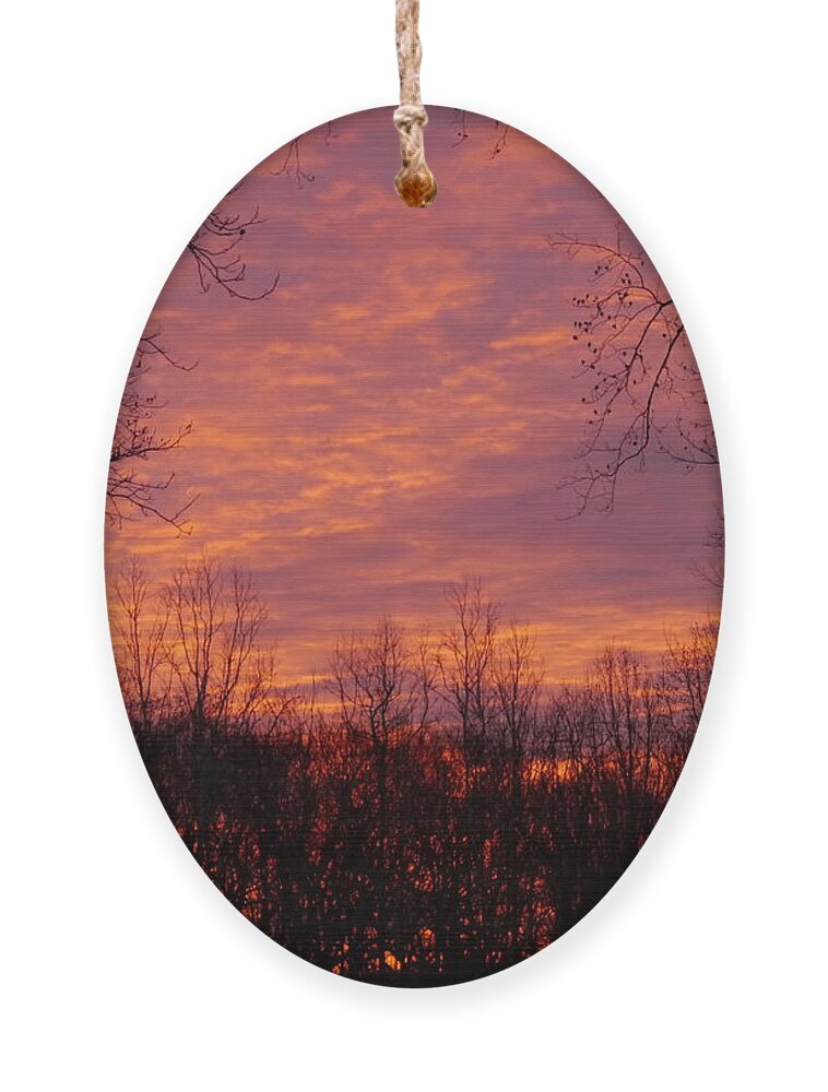 Richard Reeve Ornament featuring the photograph Red Sky at Night by Richard Reeve