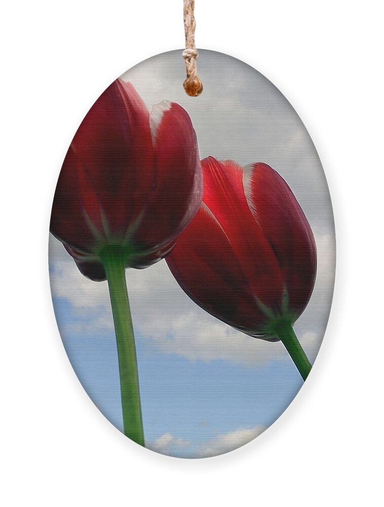 Clouds Ornament featuring the photograph Red White and Blue by Michelle Calkins