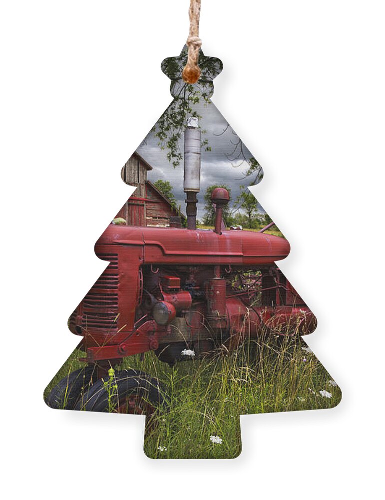 Tractor Ornament featuring the photograph Reds in the Pasture by Debra and Dave Vanderlaan