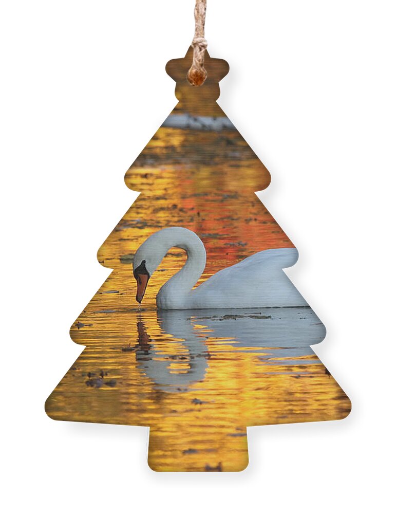 Golden Ornament featuring the photograph Reflections on Golden Pond by Jayne Carney
