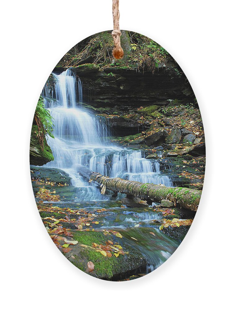 Cascade Waterfalls Ornament featuring the photograph Ricketts Glen Hidden Waterfall by Crystal Wightman