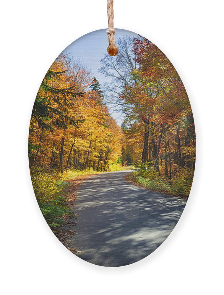 Road Ornament featuring the photograph Road through fall forest by Elena Elisseeva