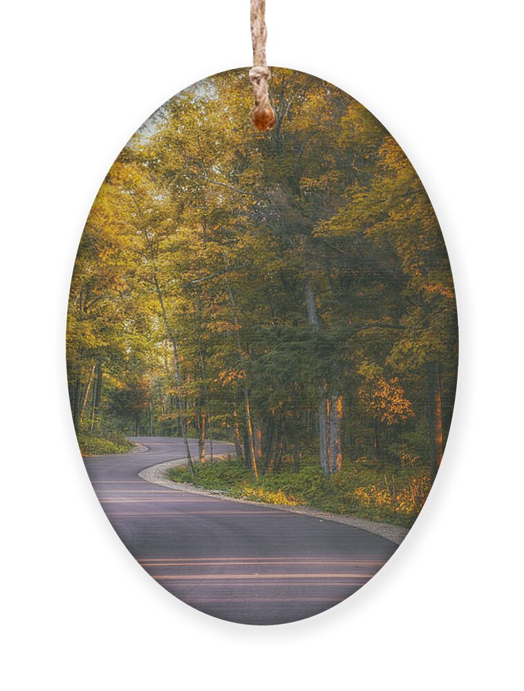 Blacktop Ornament featuring the photograph Road to Cave Point by Scott Norris