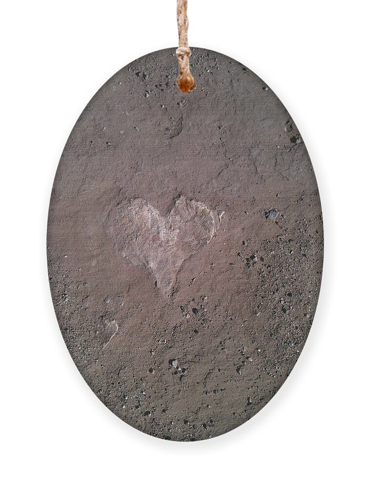 Rock Ornament featuring the photograph Rock Heart by Claudia Goodell