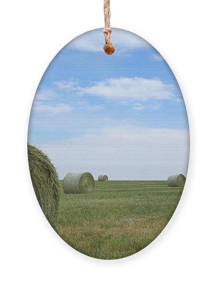 Hay Bales Photograph Ornament featuring the photograph Rollin' Rollin' Rollin' by Jim Garrison