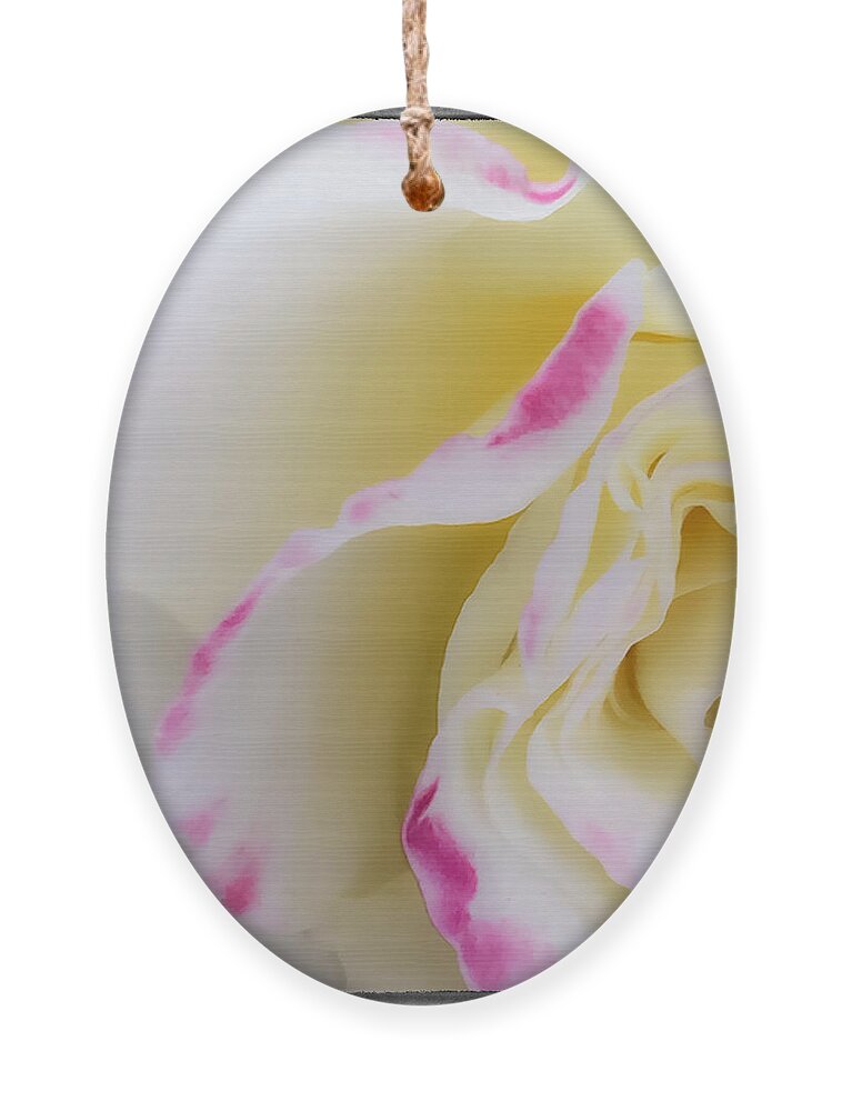 Abstract Ornament featuring the photograph Rose by Jonathan Nguyen