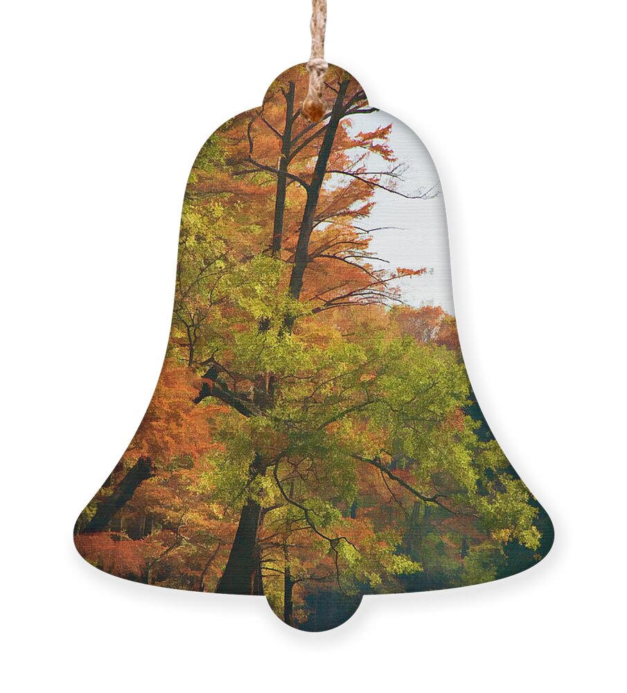 Autumn Ornament featuring the digital art Rustic Autumn by Lana Trussell