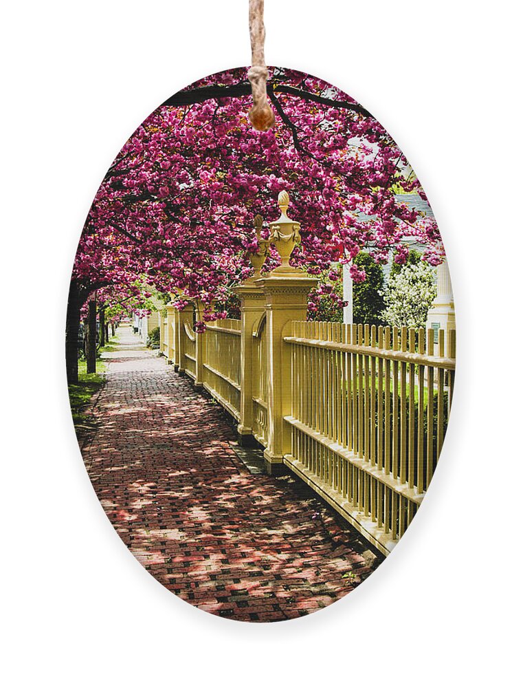 Salem Ornament featuring the photograph Salem walkway shrouded by spring flowers by Jeff Folger