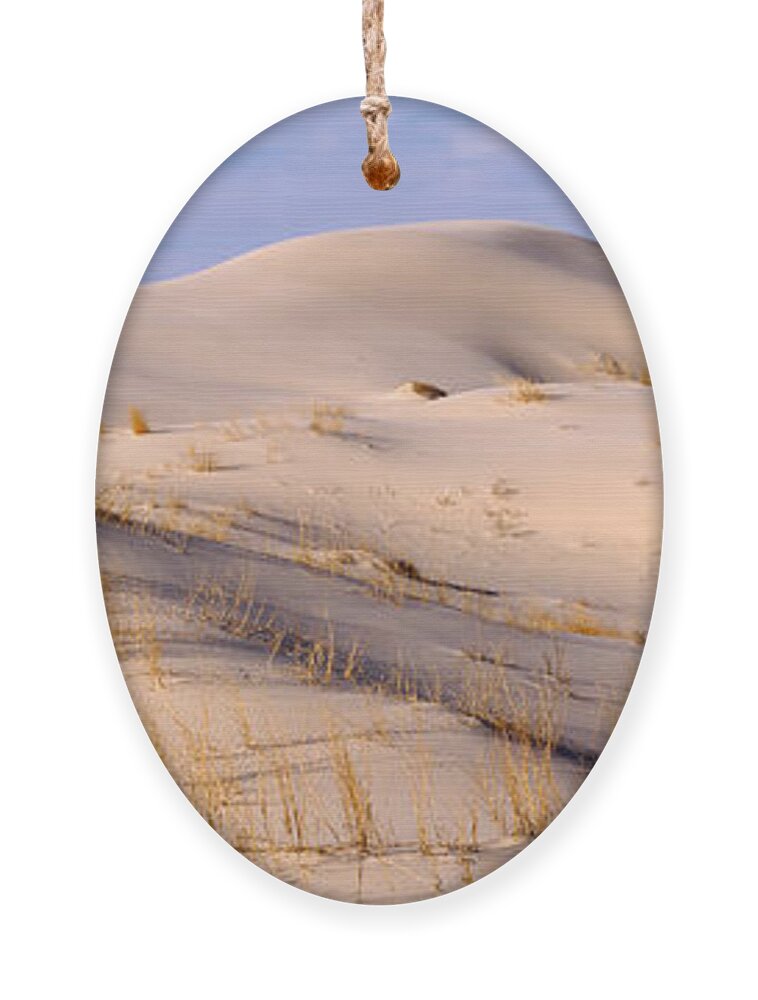 Photography Ornament featuring the photograph Sand Dunes On An Arid Landscape by Panoramic Images