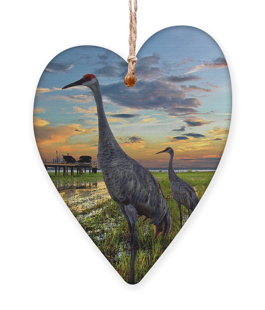 Belle Ornament featuring the photograph Sandhill Sunset by Debra and Dave Vanderlaan