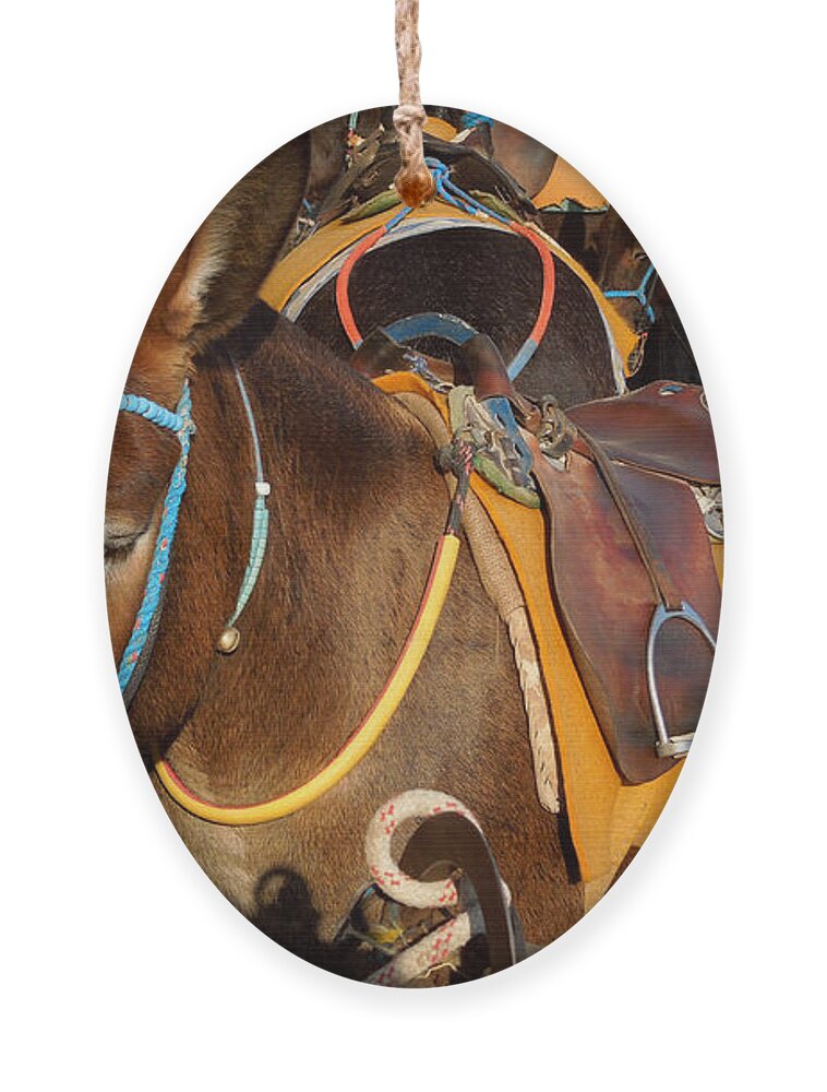 Colette Ornament featuring the photograph Santorini Donkeys Ready for Work by Colette V Hera Guggenheim