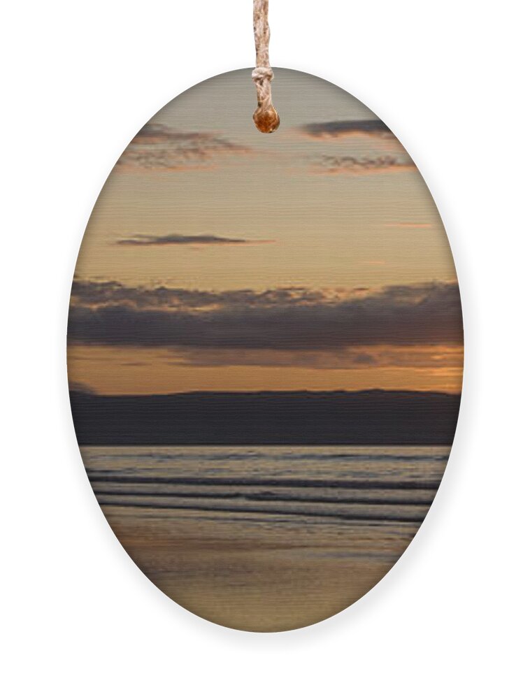 Seagull Ornament featuring the photograph Seagull Sunset by Nigel R Bell