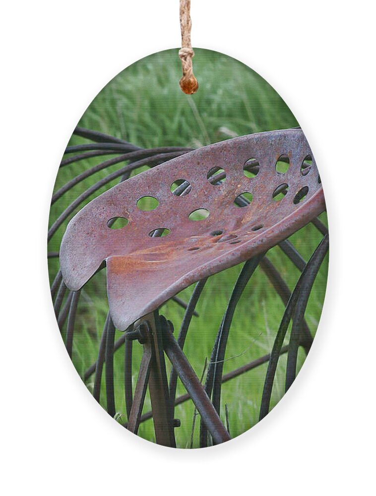 Seat Ornament featuring the photograph Seating for One - Vintage Hay Rake Seat by Nikolyn McDonald