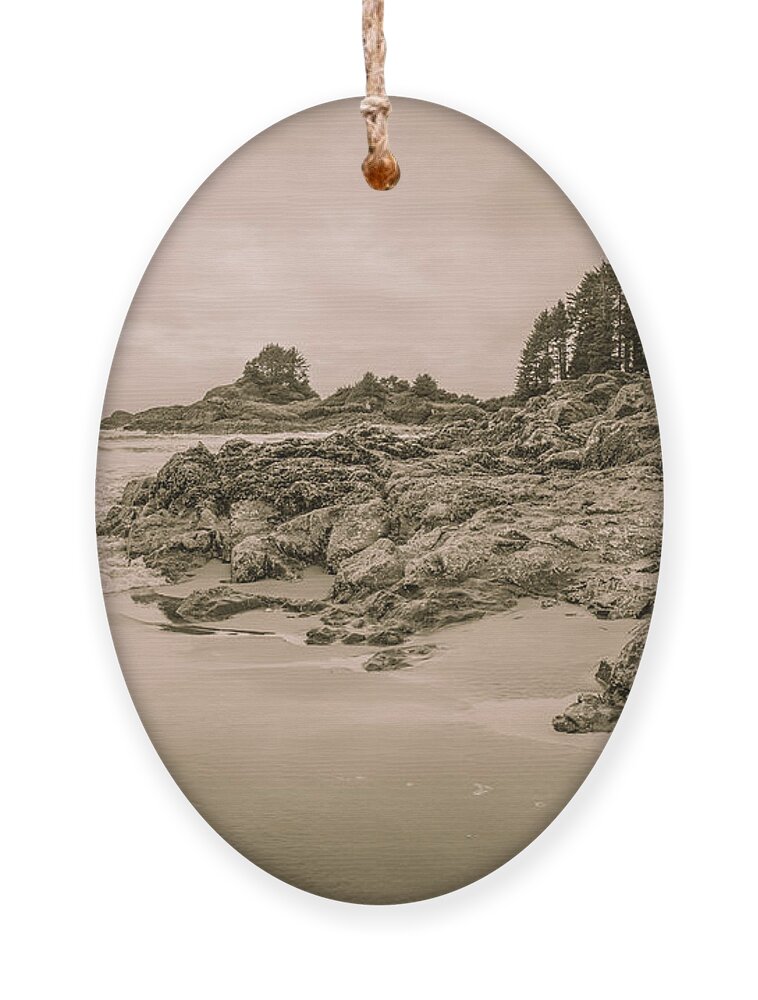 Ocean Ornament featuring the photograph Cox Bay Sepia by Roxy Hurtubise