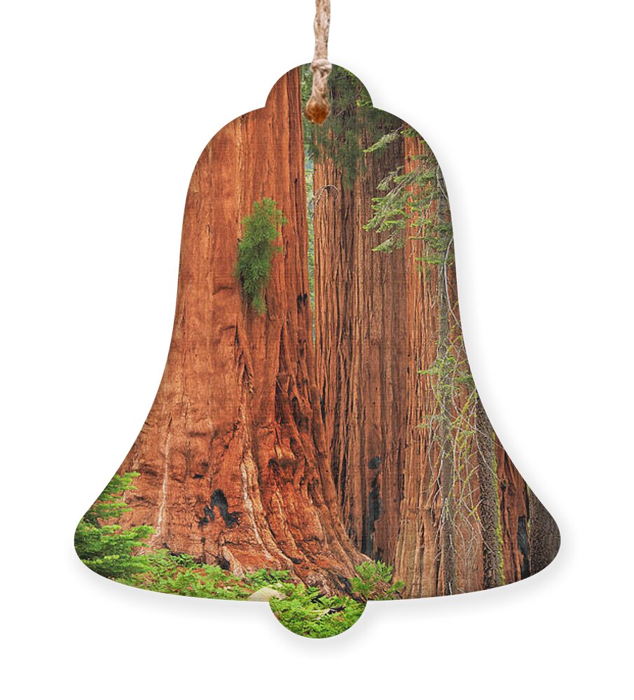 America Ornament featuring the photograph Sequoias by Inge Johnsson
