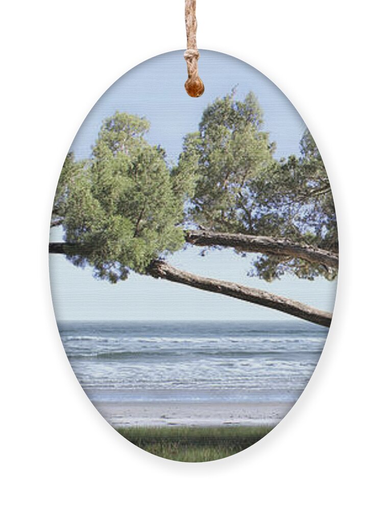 Shade Tree Ornament featuring the photograph Shade Tree Panoramic by Mike McGlothlen