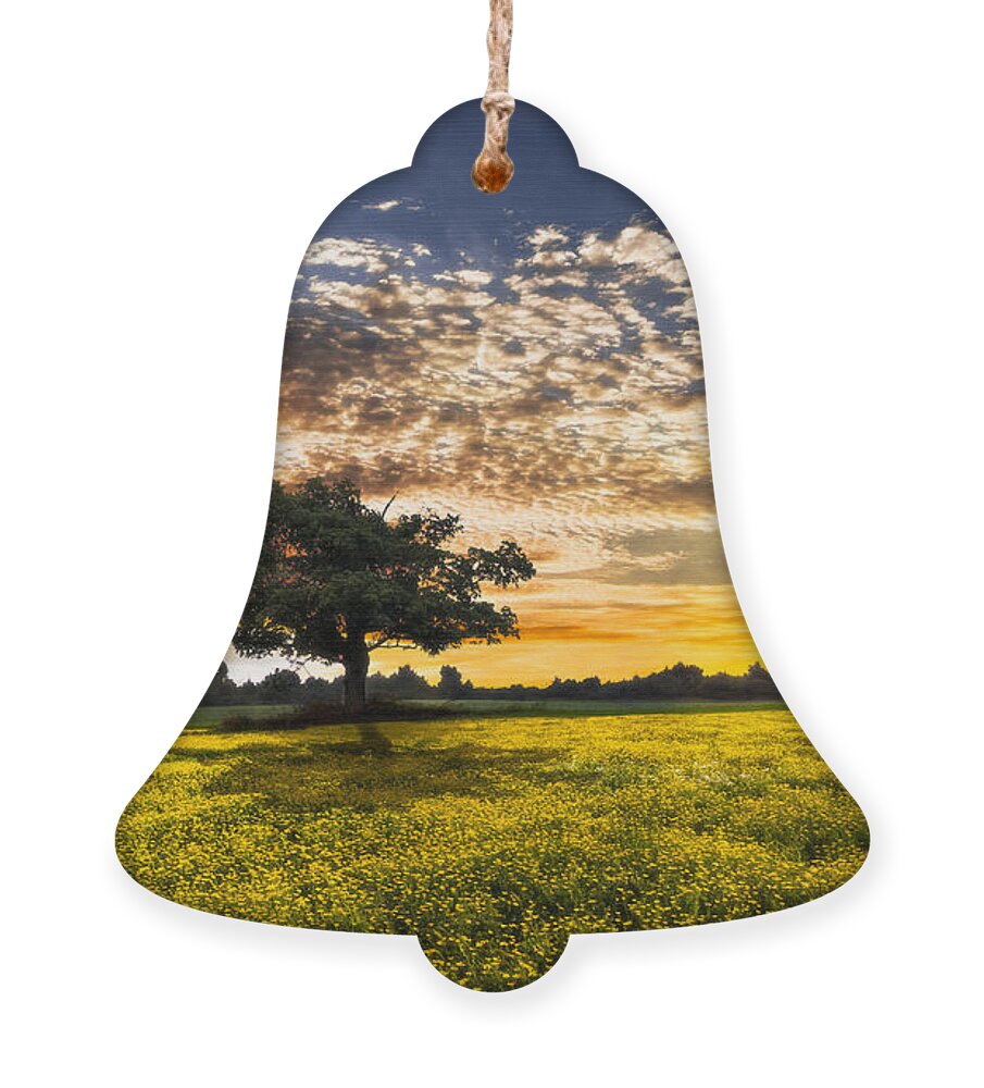 Barns Ornament featuring the photograph Shadows At Sunset by Debra and Dave Vanderlaan