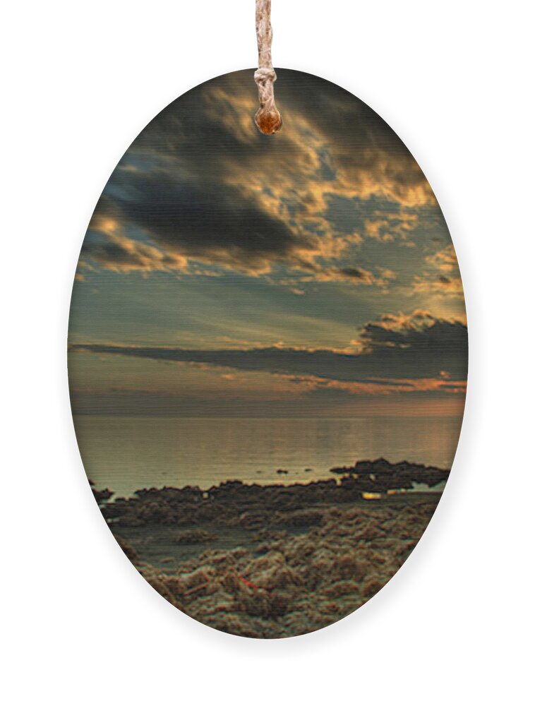 Symbolic Shore Sea Lake Desolation Sunset Sunrise Ornament featuring the painting Shore of Desolation by Troy Caperton