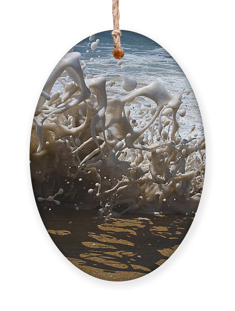 Surf Ornament featuring the photograph Shorebreak - The Wedge by Joe Schofield