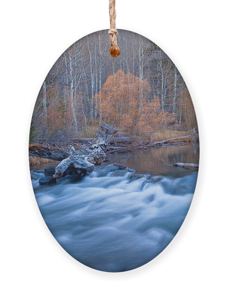 Nature Ornament featuring the photograph Silence Of The Fall by Jonathan Nguyen