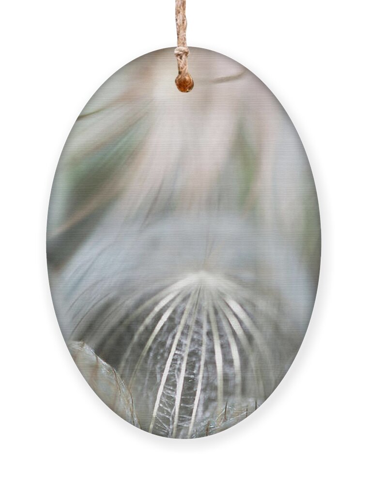 Wildflowers Ornament featuring the photograph Silver Fire by Gwen Gibson