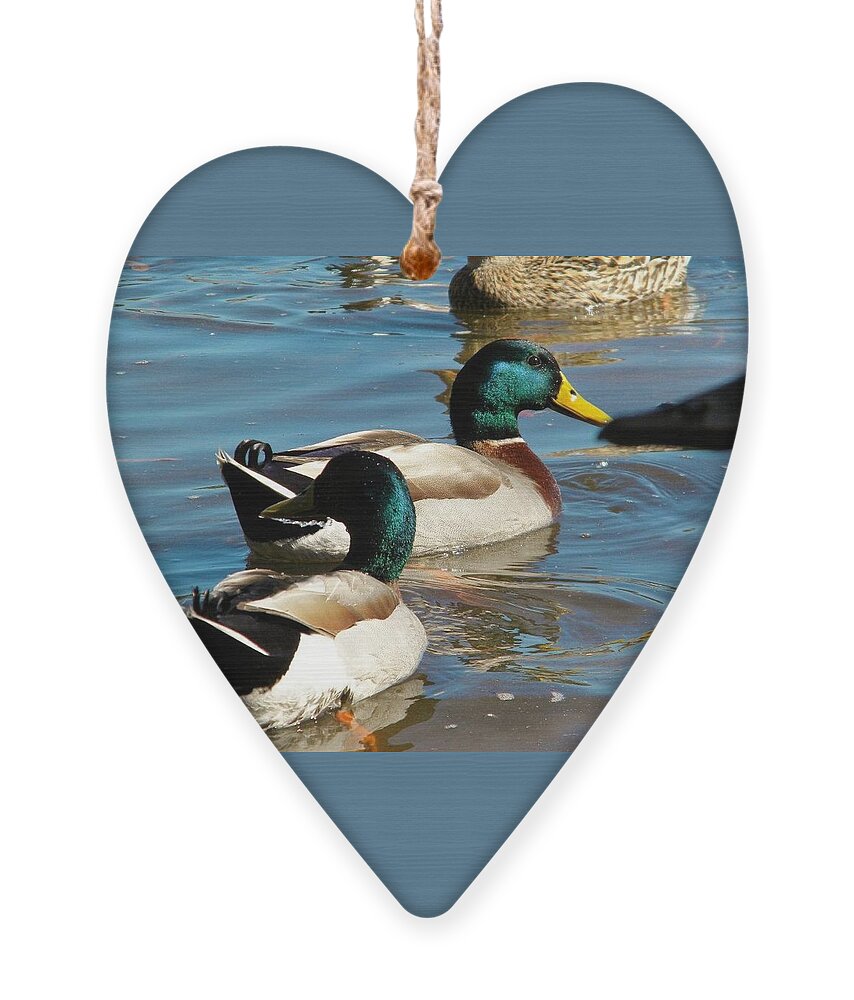 Ducks Ornament featuring the digital art Simple Times by Matthew Seufer