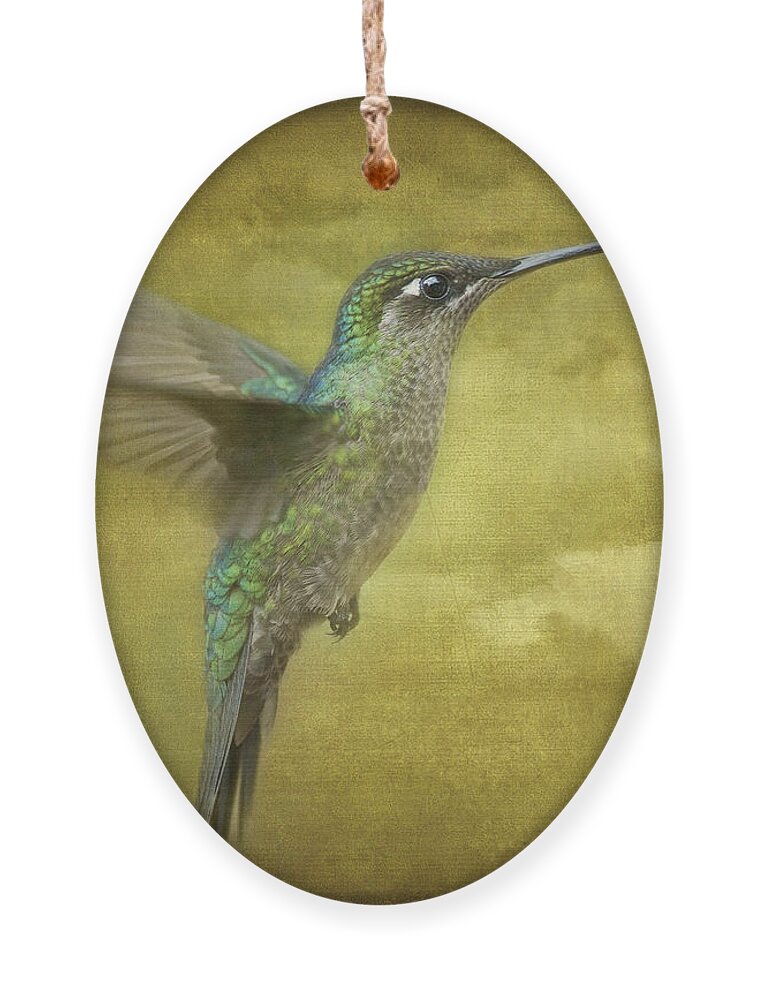 Magnificent Hummingbird Ornament featuring the photograph Simply Magnificent.. by Nina Stavlund