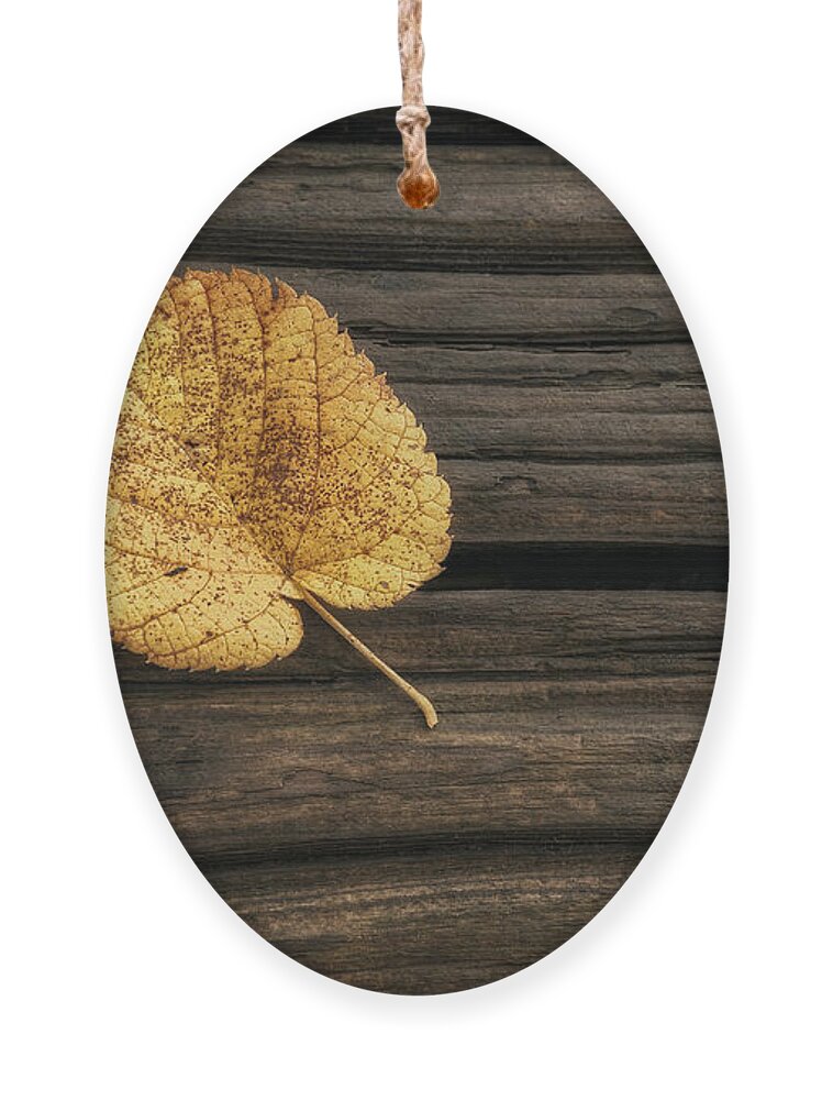 Leaf Ornament featuring the photograph Single Yellow Birch Leaf by Scott Norris