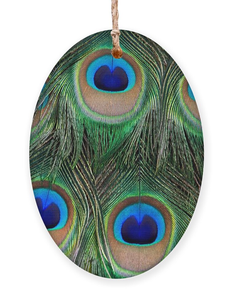 Peacock Ornament featuring the photograph Six Eyes by Sabrina L Ryan