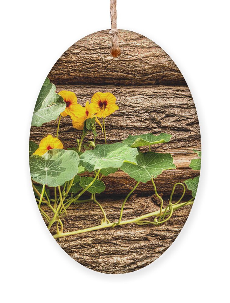 Nasturtium Ornament featuring the photograph Slow Invader by Weston Westmoreland