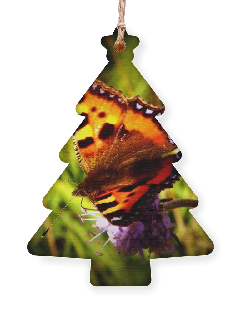 Nature Ornament featuring the photograph Small Tortoiseshell Butterfly by Yvonne Johnstone
