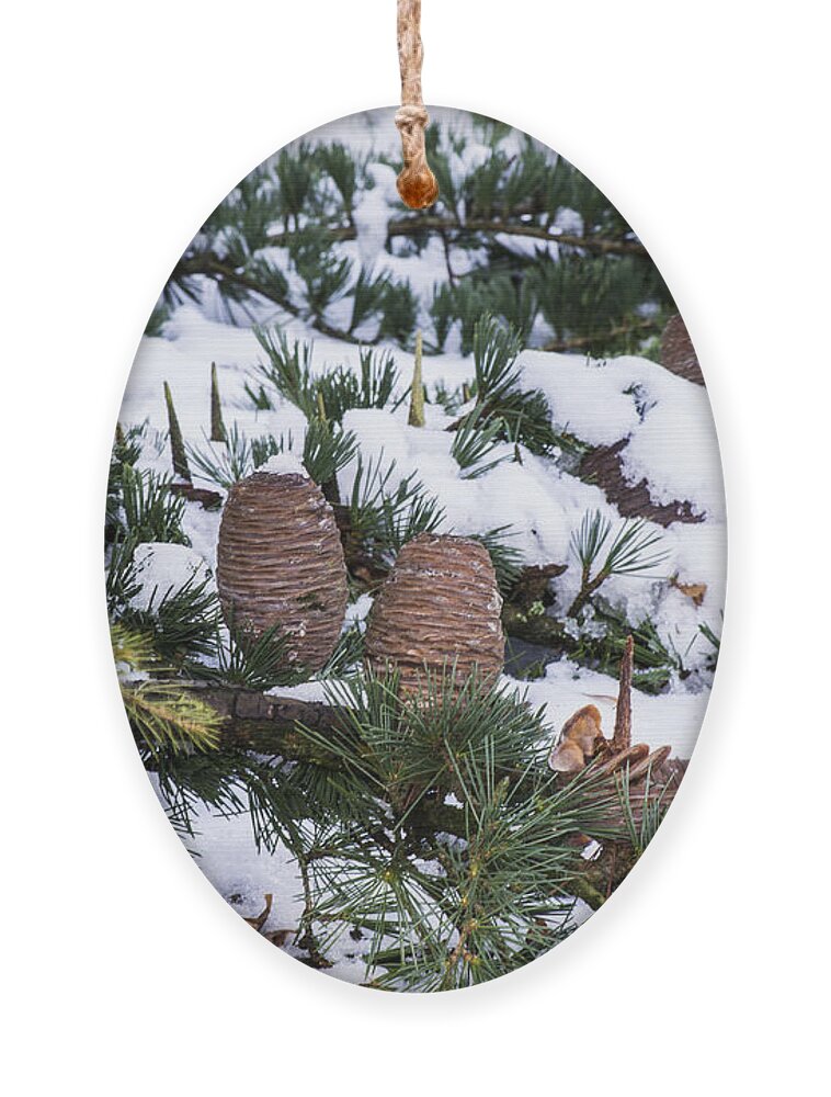 Snow Ornament featuring the photograph Snow Cones by Spikey Mouse Photography