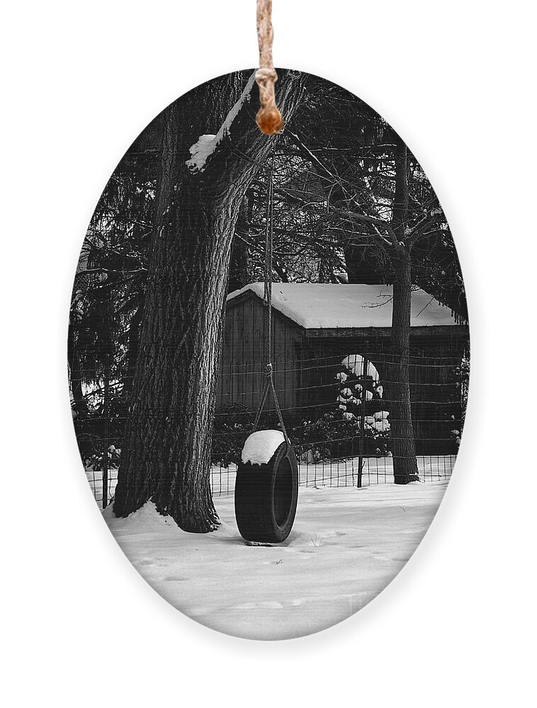 Winter Landscape Ornament featuring the photograph Snow on Tire Swing by Frank J Casella