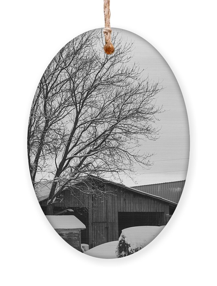 Snow Ornament featuring the photograph Snow Scene by Holden The Moment