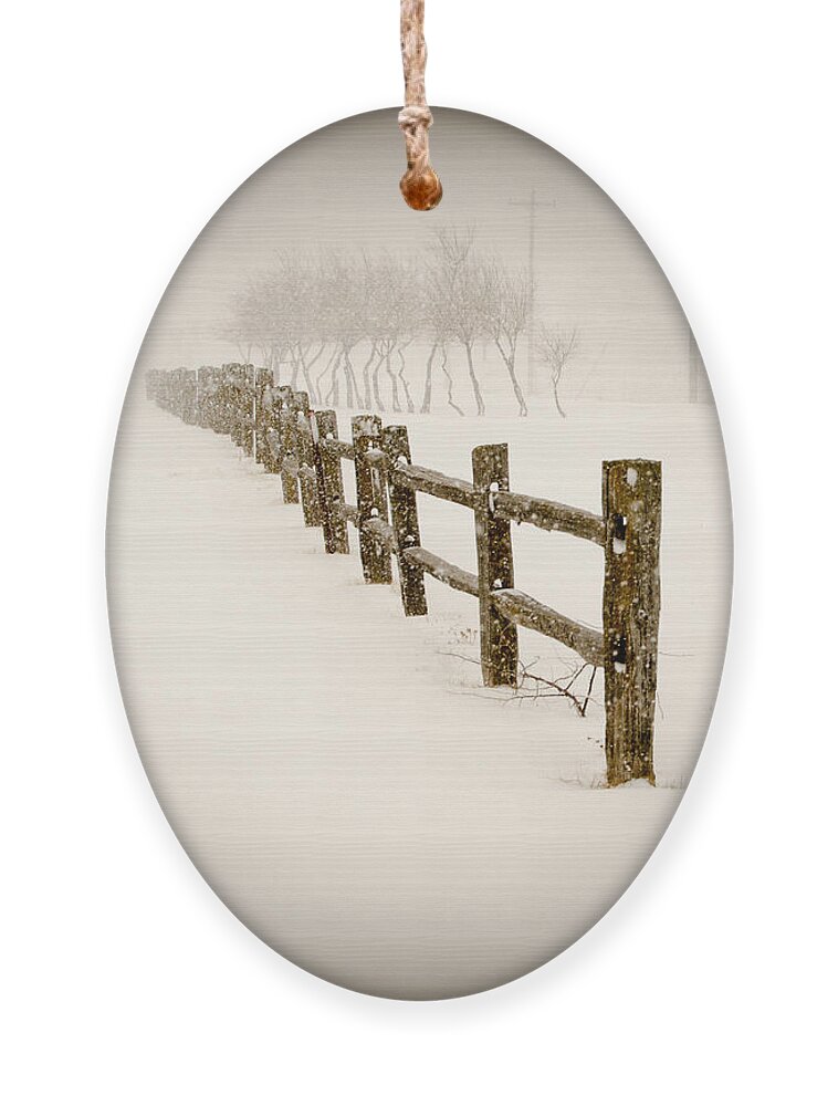 Dakota Ornament featuring the photograph Snowfall in the Dakota Wind by Greni Graph