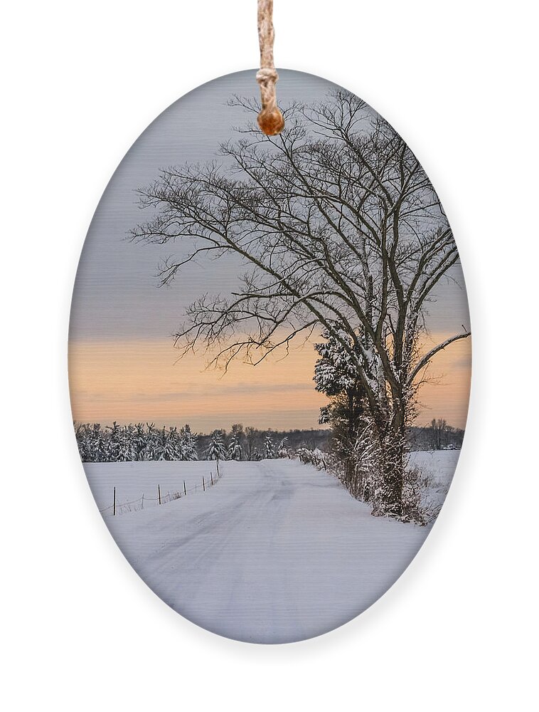 Snow Ornament featuring the photograph Snowy Country Road by Holden The Moment