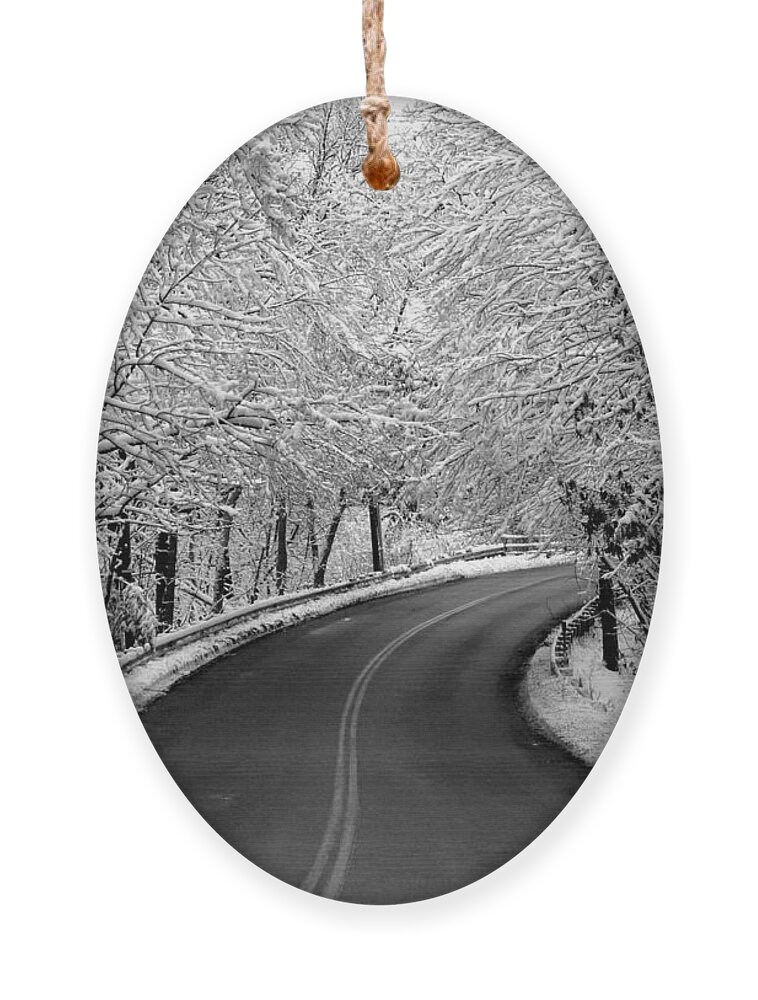 Street Ornament featuring the photograph Snowy Ride by Jayne Carney