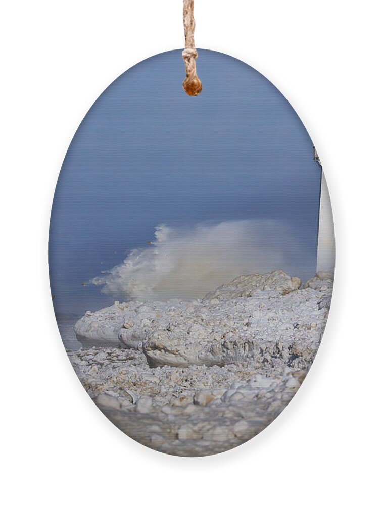 Lighthouse Ornament featuring the photograph Sodus Bay Lighthouse by Everet Regal