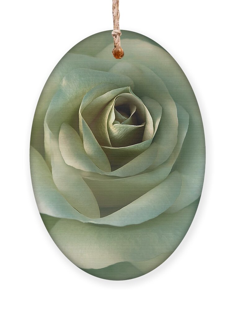 Soft Olive Green Rose Flower Ornament by Jennie Marie Schell - Fine Art  America