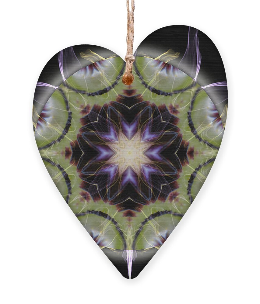 Mandala Ornament featuring the photograph Soul Star Immortal Treasures by Alicia Kent