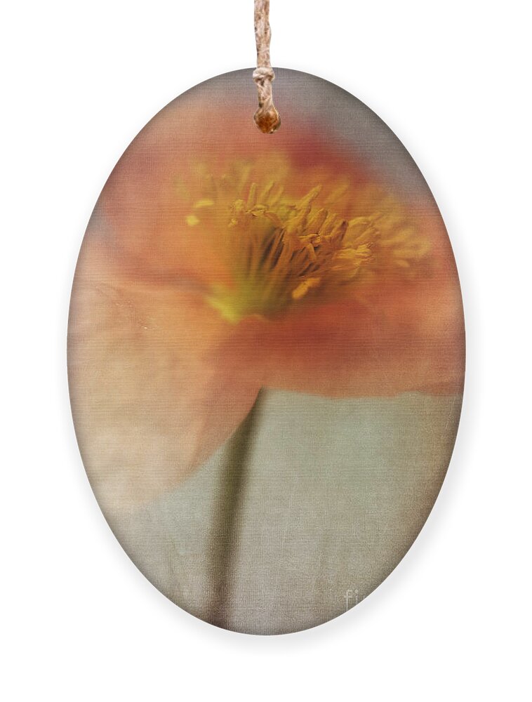 Abstraction Ornament featuring the photograph Soulful Poppy by Priska Wettstein
