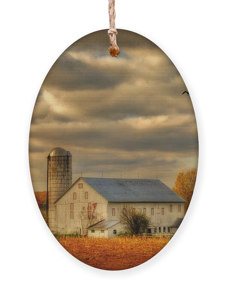 White Barn Ornament featuring the photograph South For The Winter by Lois Bryan