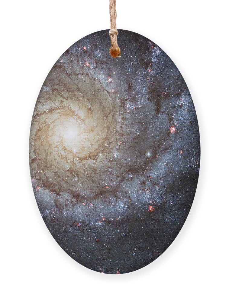 3scape Ornament featuring the photograph Spiral Galaxy M74 by Adam Romanowicz