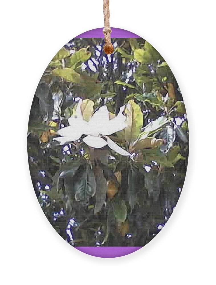 Spring Flowers Ornament featuring the photograph Springtime Magnolia by Suzanne Berthier
